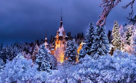 Winter. House - Romania, Snow, Nature, Forest, Sky, sinaia