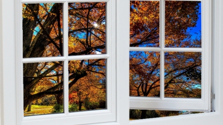 View of Autumn - view, autumn, sky, fall, trees, window