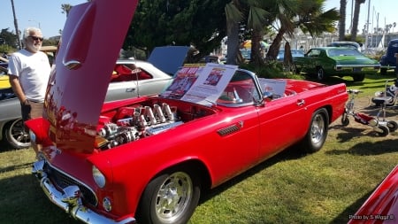 Channel Islands Car Show - Car, Islands, California, Channel, Classic, Show, Thunderbird