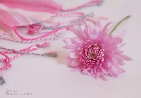 ♥ - flowers, pink, photography, soft