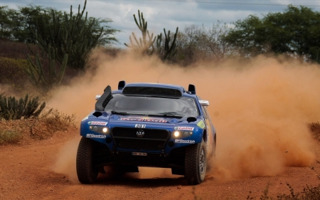 dakar rally - dakar, rally, car, volkswagen