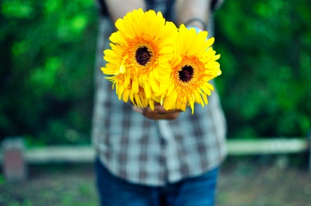 For you! - summer, flower, yellow, hand, vara, blue