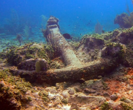 Anchor - marine, ocean, ship, wreck, anchor, water, boat