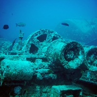 SS Thistlegorm