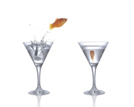 I'm coming! - vara, glass, summer, funny, creative, white, fish, orange, golden