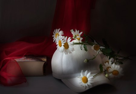 Still Life - flowers, still life, photography, soft