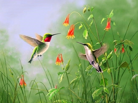 Summer Jewels - flowers, hummingbirds, birds, summer, paintings, colors, love four seasons, animals