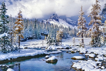 Winter Paradise F - winter, four seasons, beautiful, photography, snow, photo, wide screen