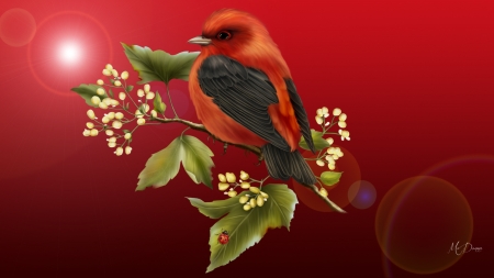 Little Red Bird