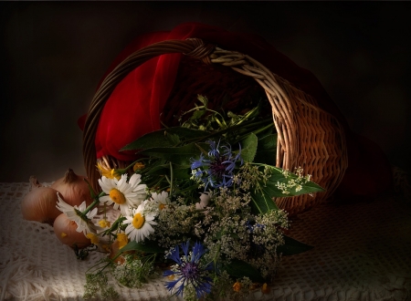 â™¥ - abstract, flowers, photography, soft