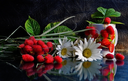 ♥ - daisies, abstract, flowers, soft