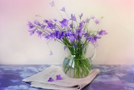 ♥ - flowers, vase, purple, soft