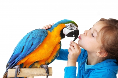 Kiss - bird, yellow, blue, girl, parrot, copil, child, white, kiss