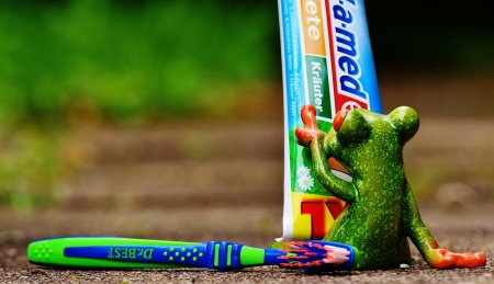 READING THE INSTRUCTIONS - toothpaste, image, abstract, frog