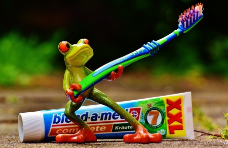 GUITAR TOOTHBRUSH - image, toothbrush, abstract, frog