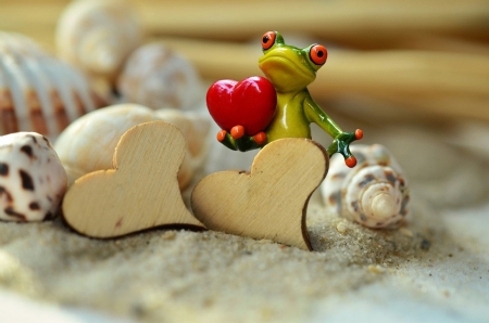 SAND LOVING FROG - image, shell, abstract, frog