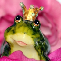 PRINCESS FROG