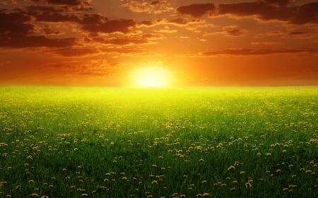 sunshine - nature, yellow, backgrounds, sun