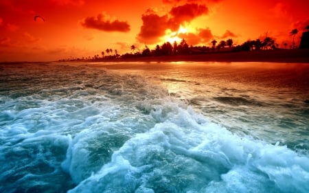 sunset - sunsets, water, beach, ocean