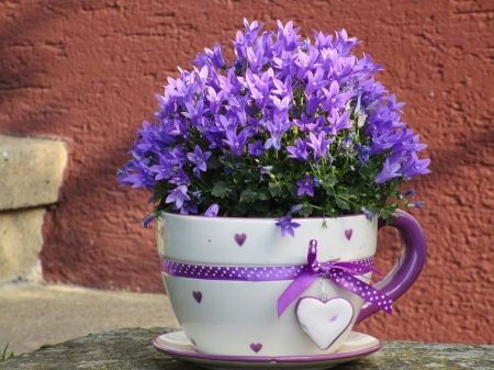 Campanula - purple, pot, flowers, still life, campanula, mug