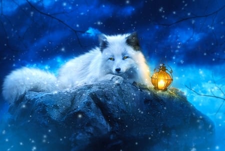 White Fox - fox, lantern, snow, seasons, winter, animal