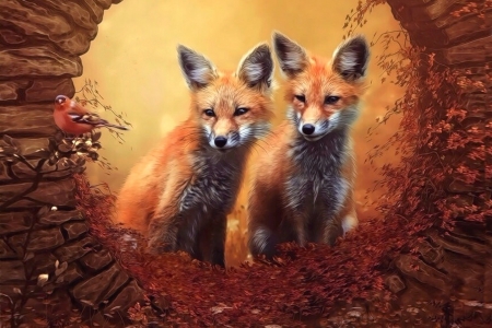 Curious Foxes