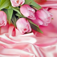 Pink Tulips