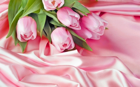 Pink Tulips - pretty, Tulips, pink, Flowers