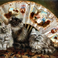 Persian Blue With Fan - Cats F