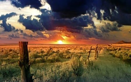 Fields - fields, nature, fence, grass lands, sunset, sunrise