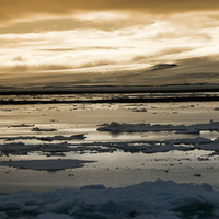 Winter Landscape