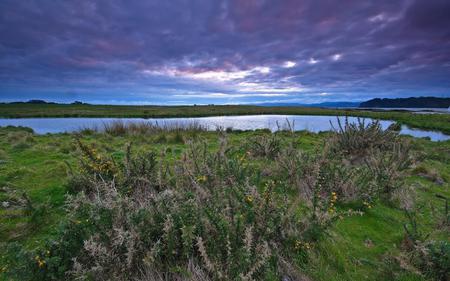 A swamp beside the river - river, nature, scenery, swamp, landscape