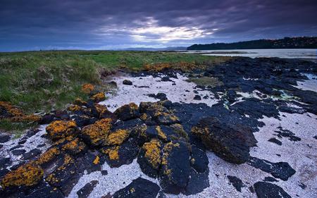 mossy rocks on the shore - shores, nature, scenery, landscape, ocean, rocks