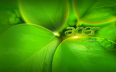 acer green colour - acer, green, leave, wallpaper