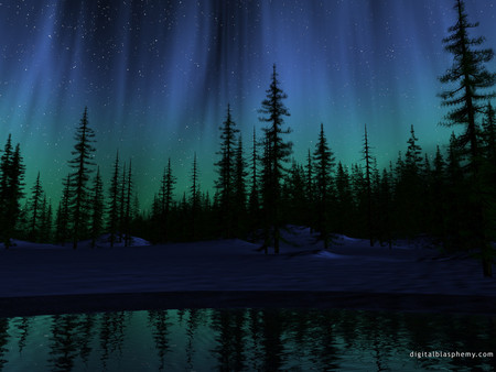 Sky Song - water, aurora borealis, snow, forest, sky