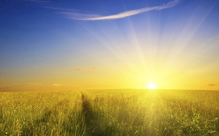 Glory sunshine from the edge - clear, beautiful, glory, sun, grass, blue, field, fields, nature, skies, sunshine