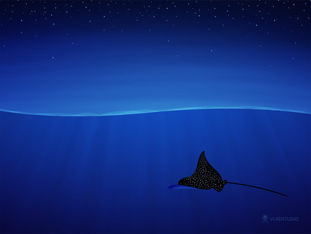 Spotted eagle ray - eagle, spotted, ray