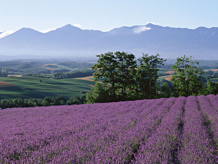 Forces of nature - mountain, landscape