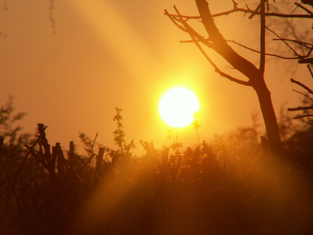 beautiful sunset - landscape, beautiful, peacful, sunset, summer