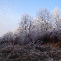 Colorful frost