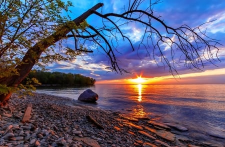 Sea sunset - sky, water, sunset, summer, amazing, reflection, beautiful, tree, stones, sea