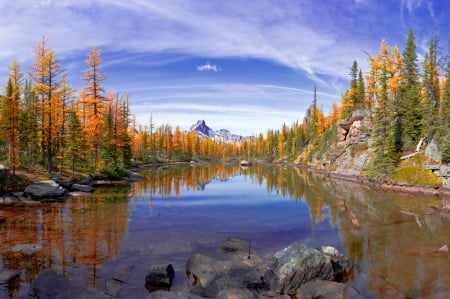 Mountain Reflections - reflections, lake, fall, trees, blue, water, skies