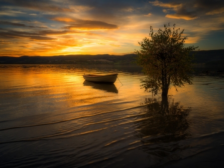 Beautiful Sunset - nature, trees, river, clouds, sunset, boat