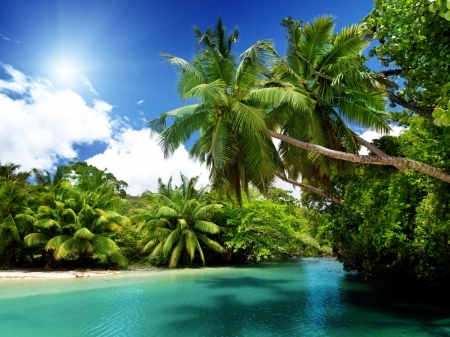 Tropical Beach - palms, nature, tropical, summer, beach, vacation, ocean, emerald