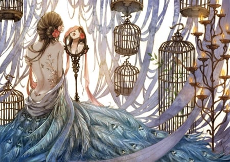 Beauty in the mirror - anime, blue, girl, feather, manga, cage, white, peacock, mirror