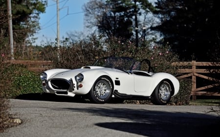 1967 Ford Shelby Cobra - street, Ford, trees, car, road, 1967, Cobra, Shelby