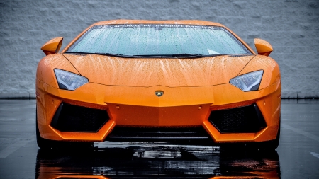 Lamborghini Aventador LP 700-4 - Lamborghini, water, car, rain, LP 700 4, Aventador