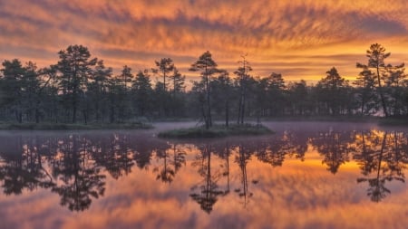 calm morning on a lake - morning, calm, lake, trees, clouds, island, mist