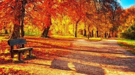 vibrant colors of autumn leaves in a park hdr - autumn, trees, park, leaves, bemch, colors, hdr, path