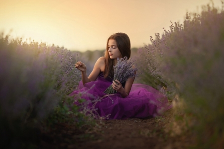 * - field, purple, girl, abstract